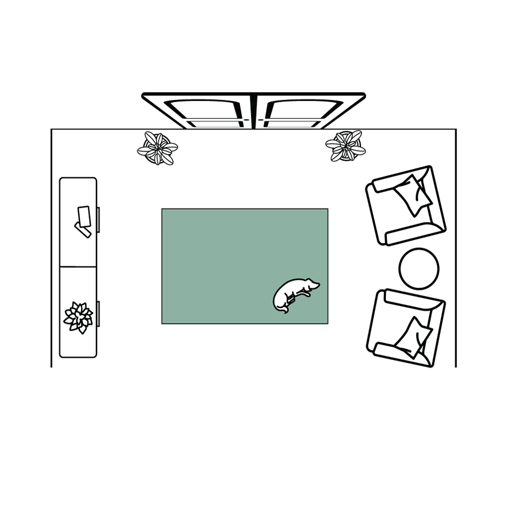 4' x 6' Area Rugs
