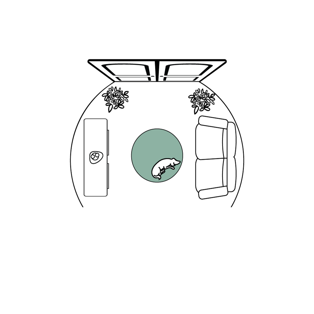 3' Round Rugs